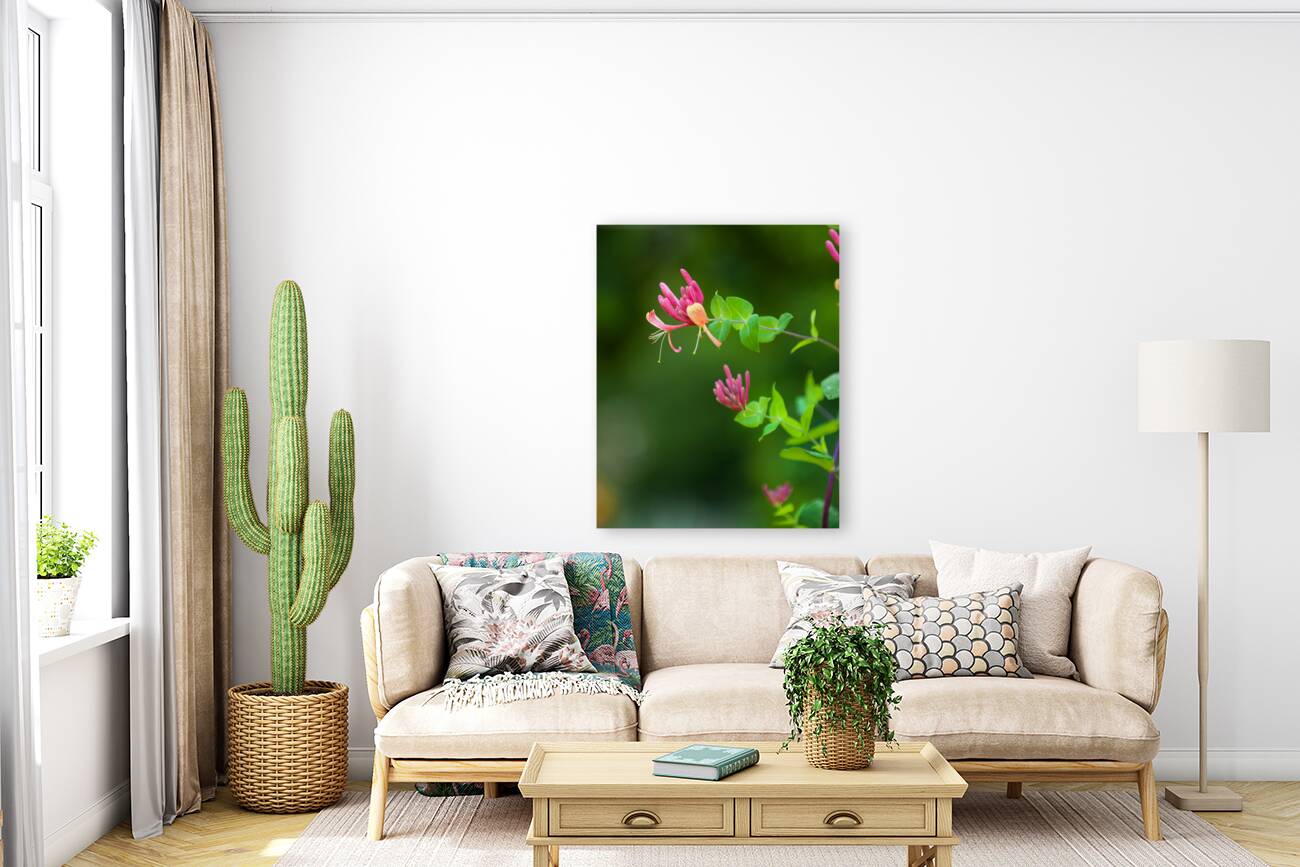 FlowersPlants 62 Reproduction