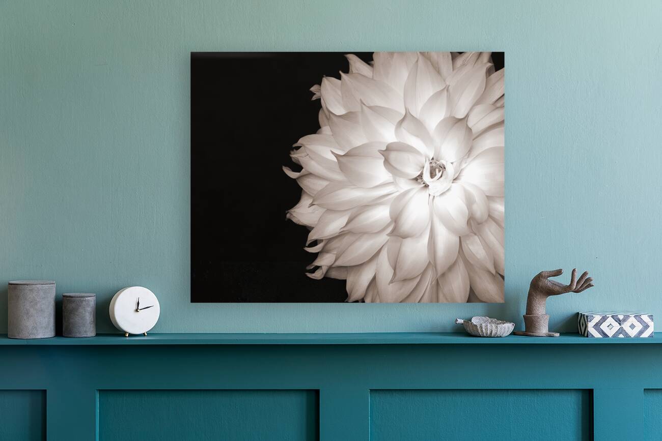 FlowersPlants 63 Reproduction
