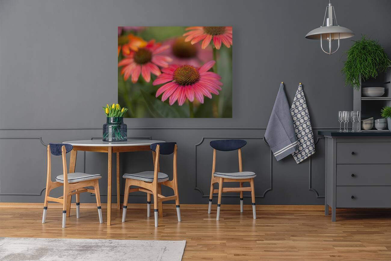 FlowersPlants 79 Reproduction