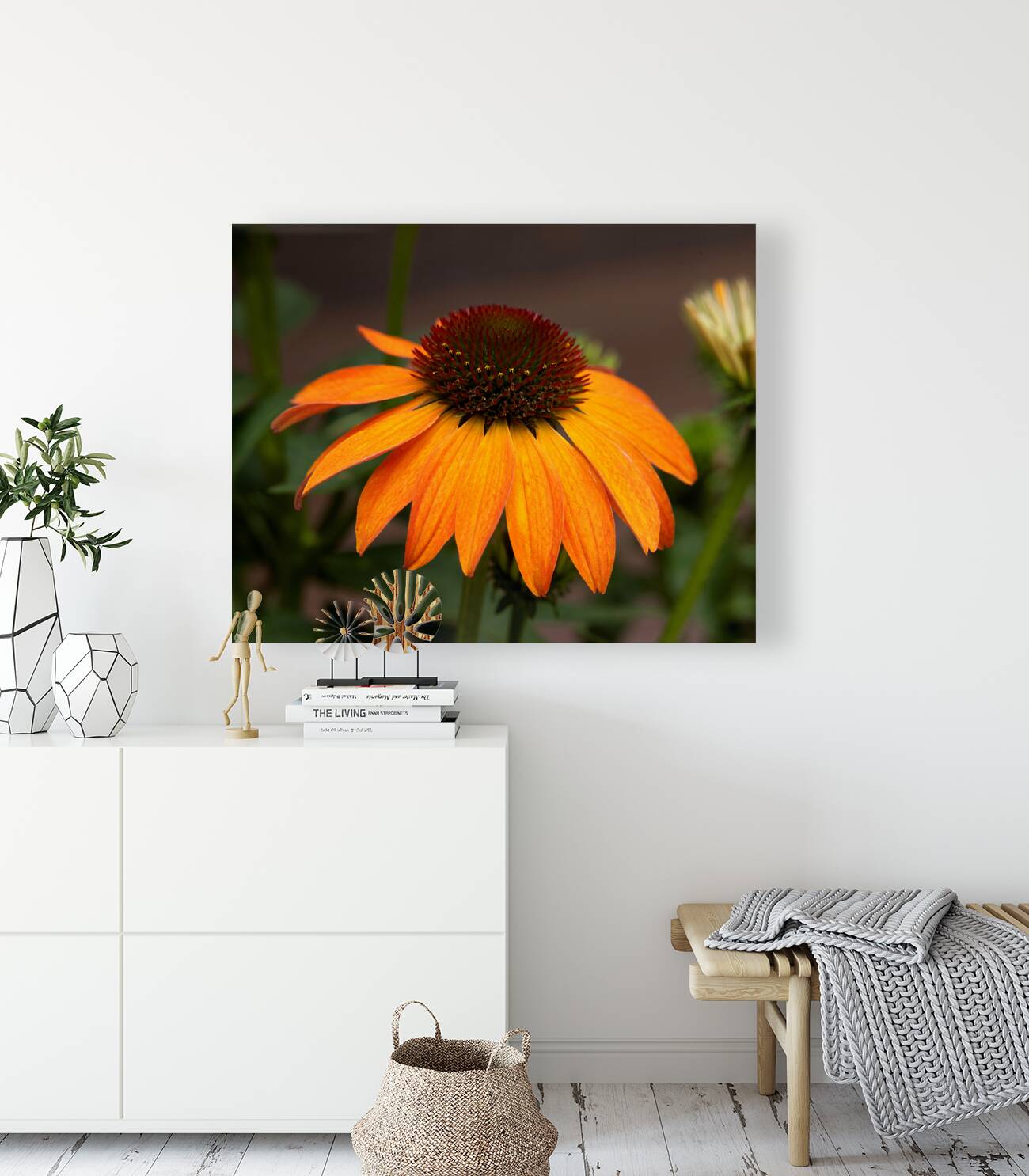 FlowersPlants 81 Reproduction