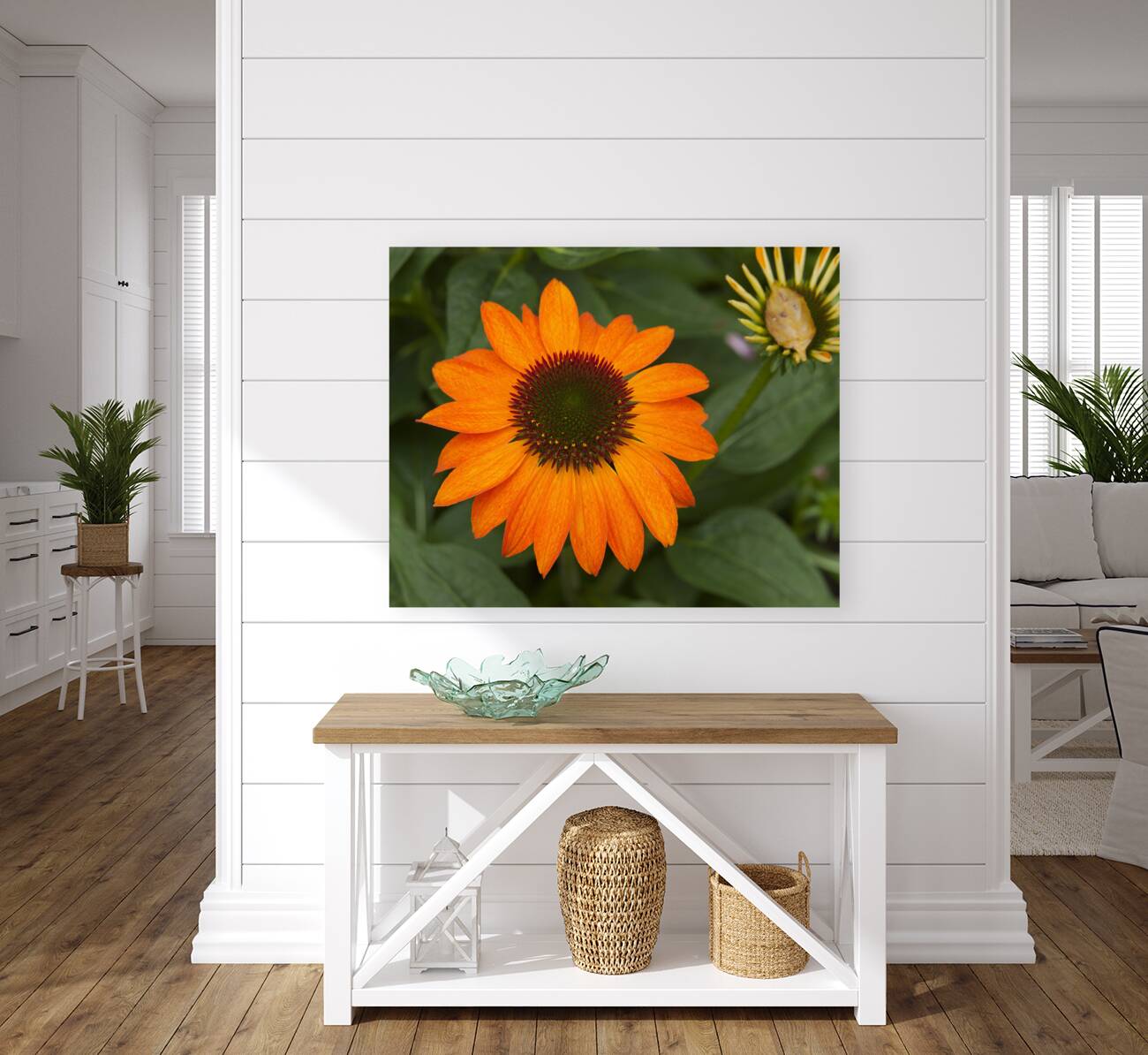 FlowersPlants 84 Reproduction