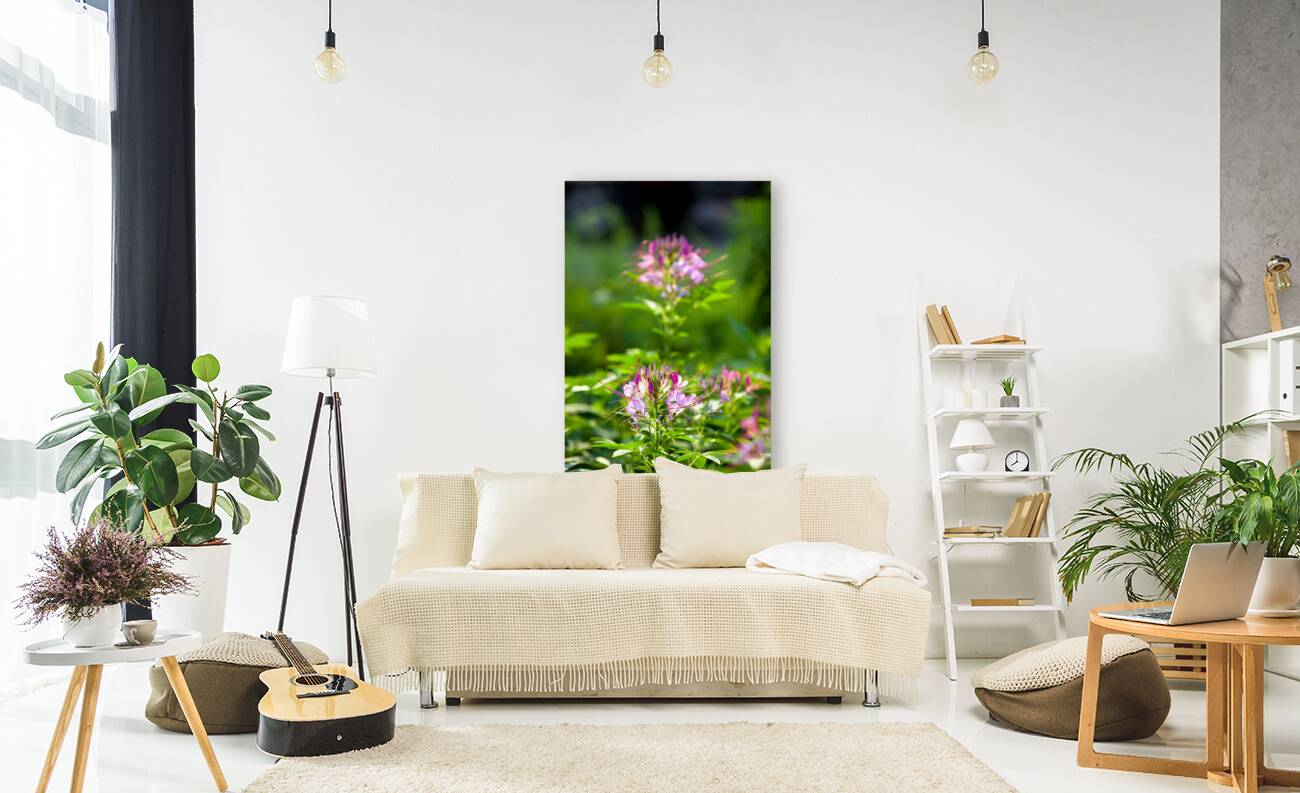 FlowersPlants 94 Reproduction