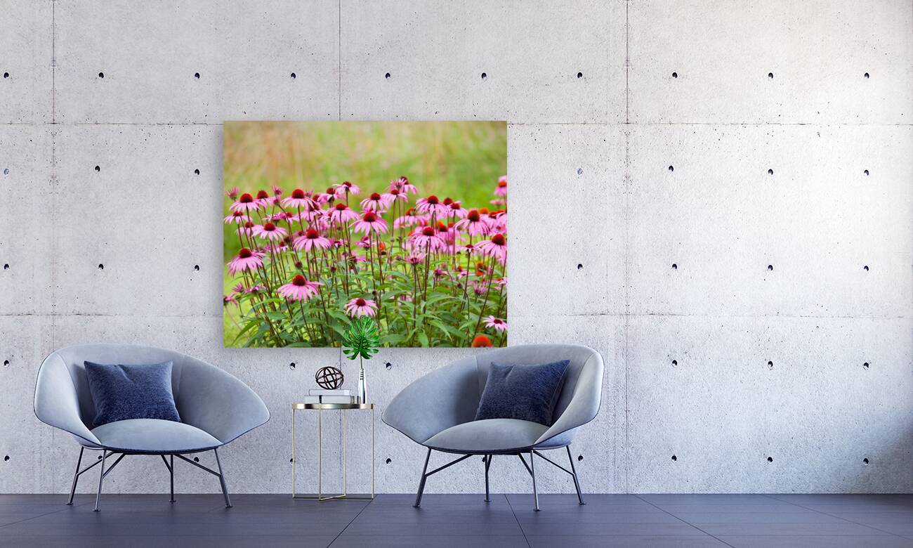 FlowersPlants 96 Reproduction