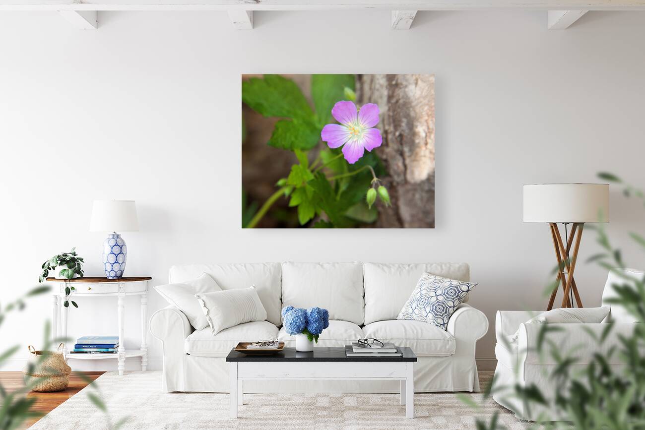 FlowersPlants 99 Reproduction