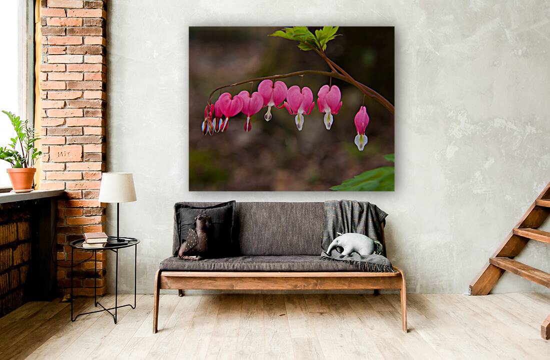 FlowersPlants 101 Reproduction