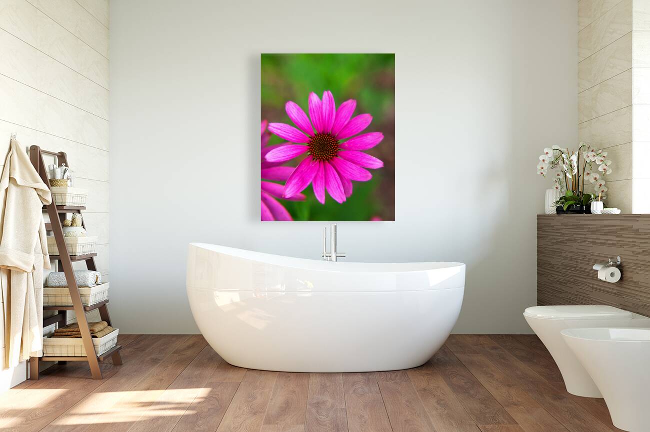 FlowersPlants 102 Reproduction