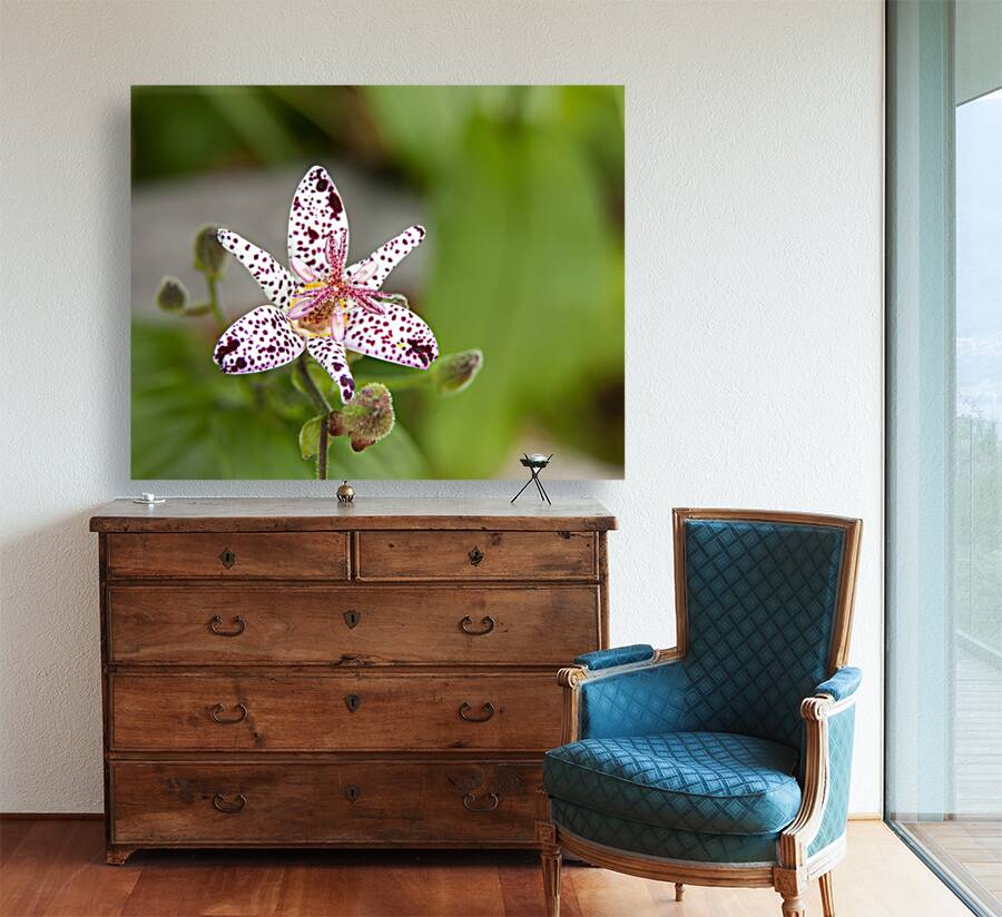 FlowersPlants 110 Reproduction