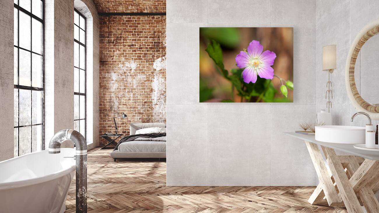 FlowersPlants 113 Reproduction
