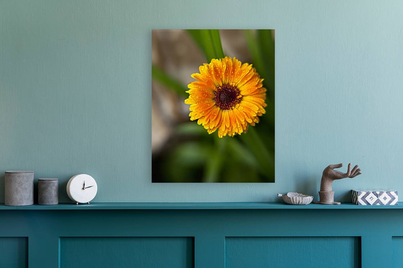 FlowersPlants129 Reproduction