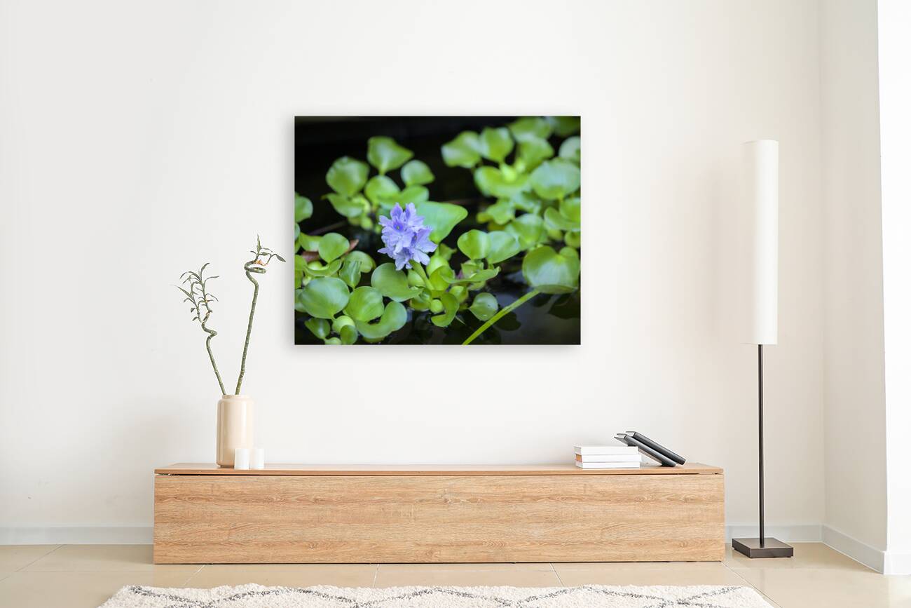 FlowersPlants 131 Reproduction