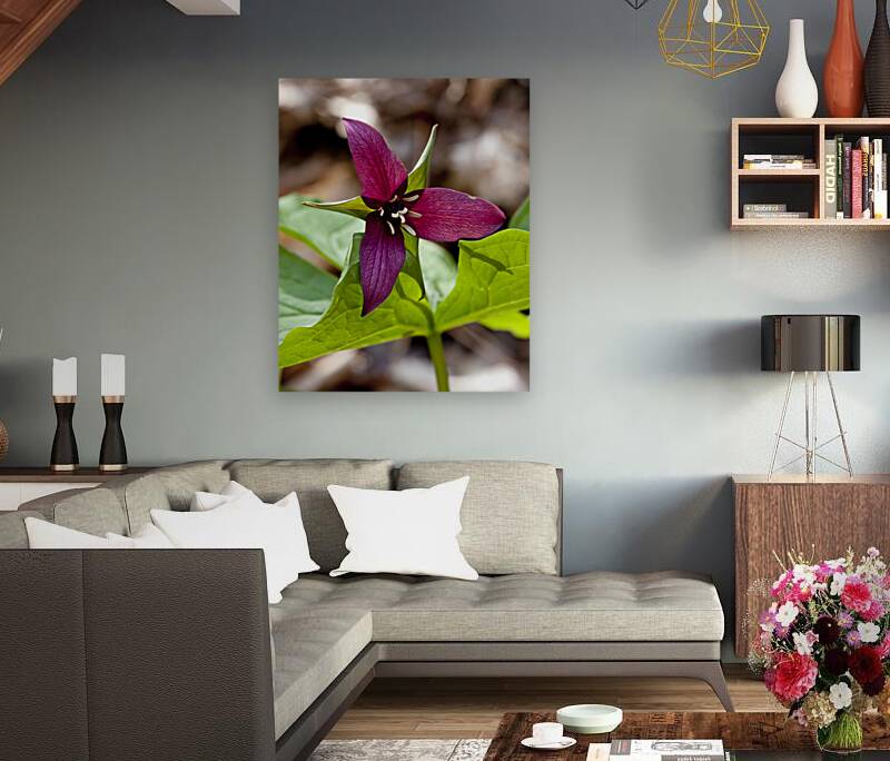 FlowersPlants 133 Reproduction