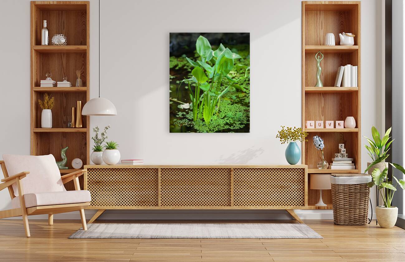 FlowersPlants 138 Reproduction