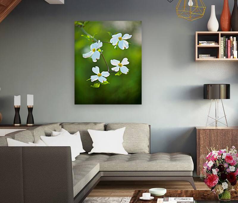 FlowersPlants 140 Reproduction