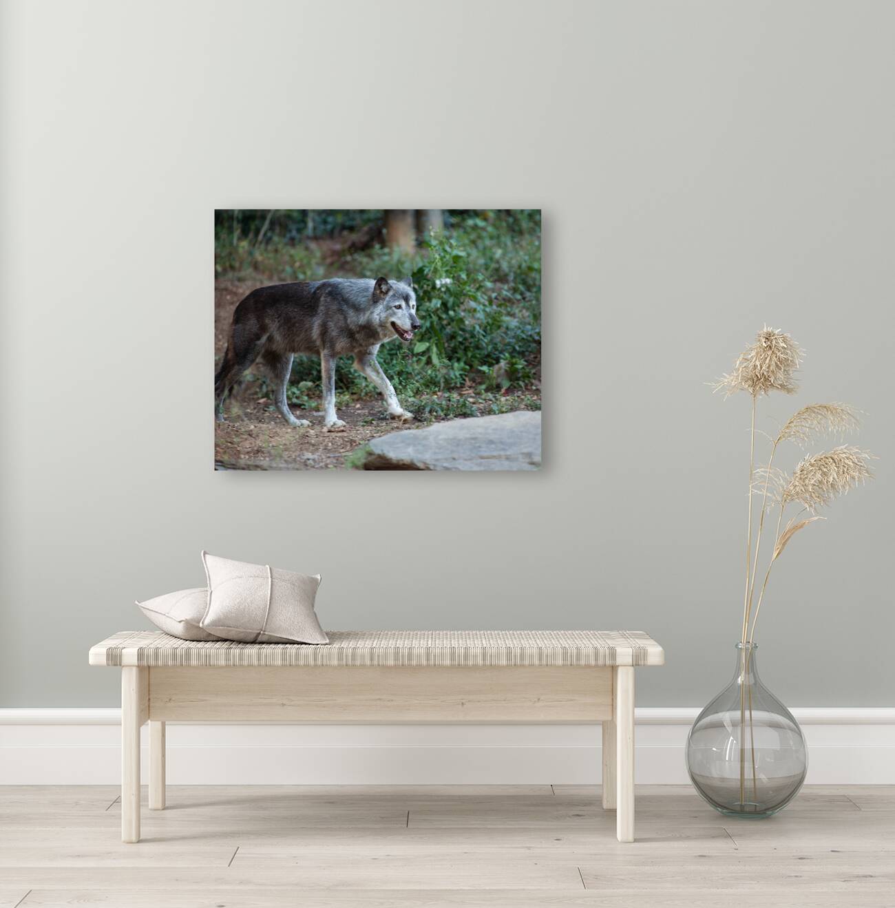 AnimalsInsects 25 Reproduction