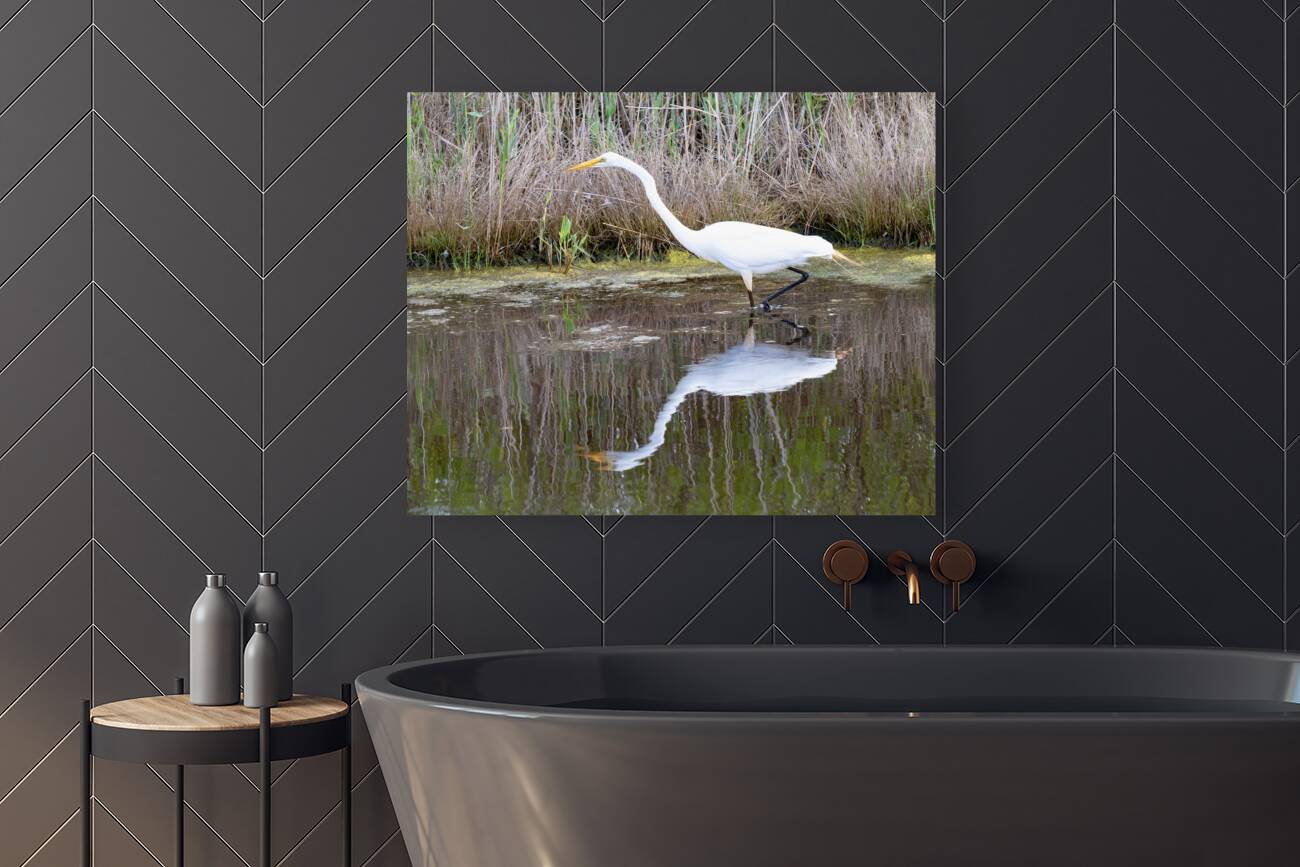 Birds 51 Reproduction