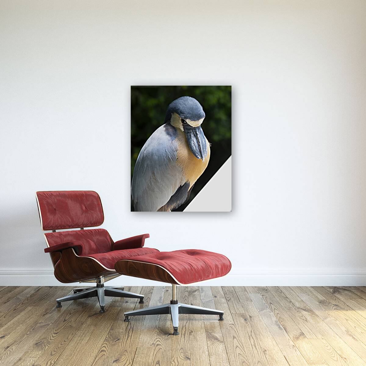 Birds 54 Reproduction