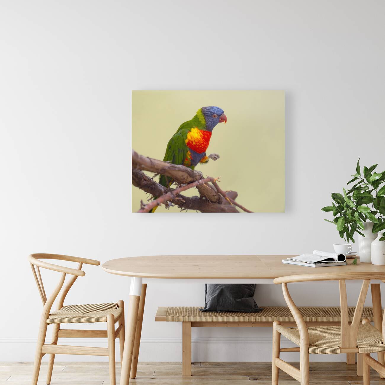 Birds 55 Reproduction