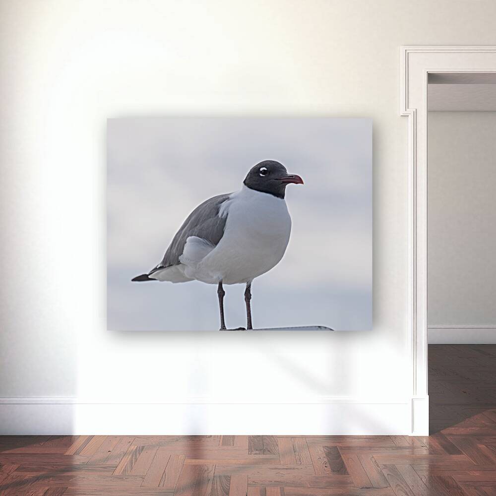 Birds 57 Reproduction