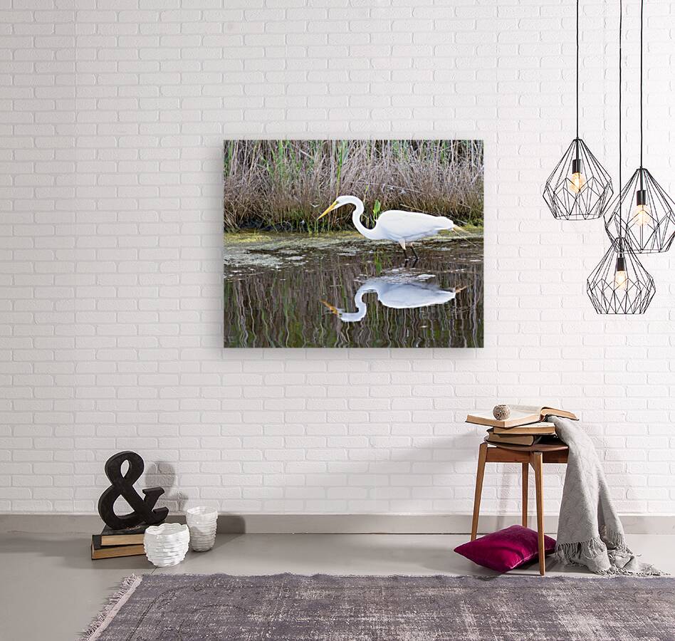 Birds 59 Reproduction