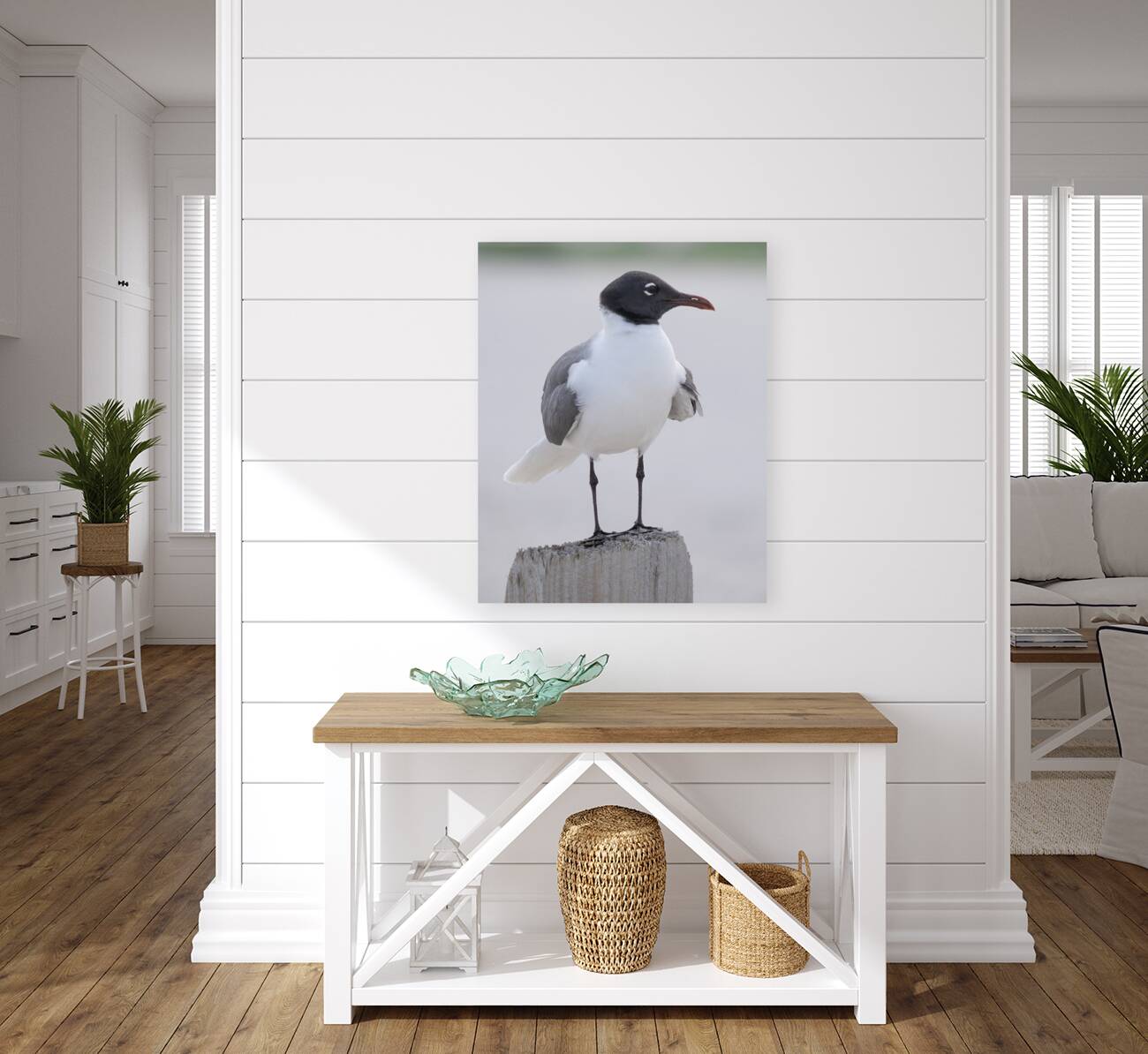 Birds 61 Reproduction