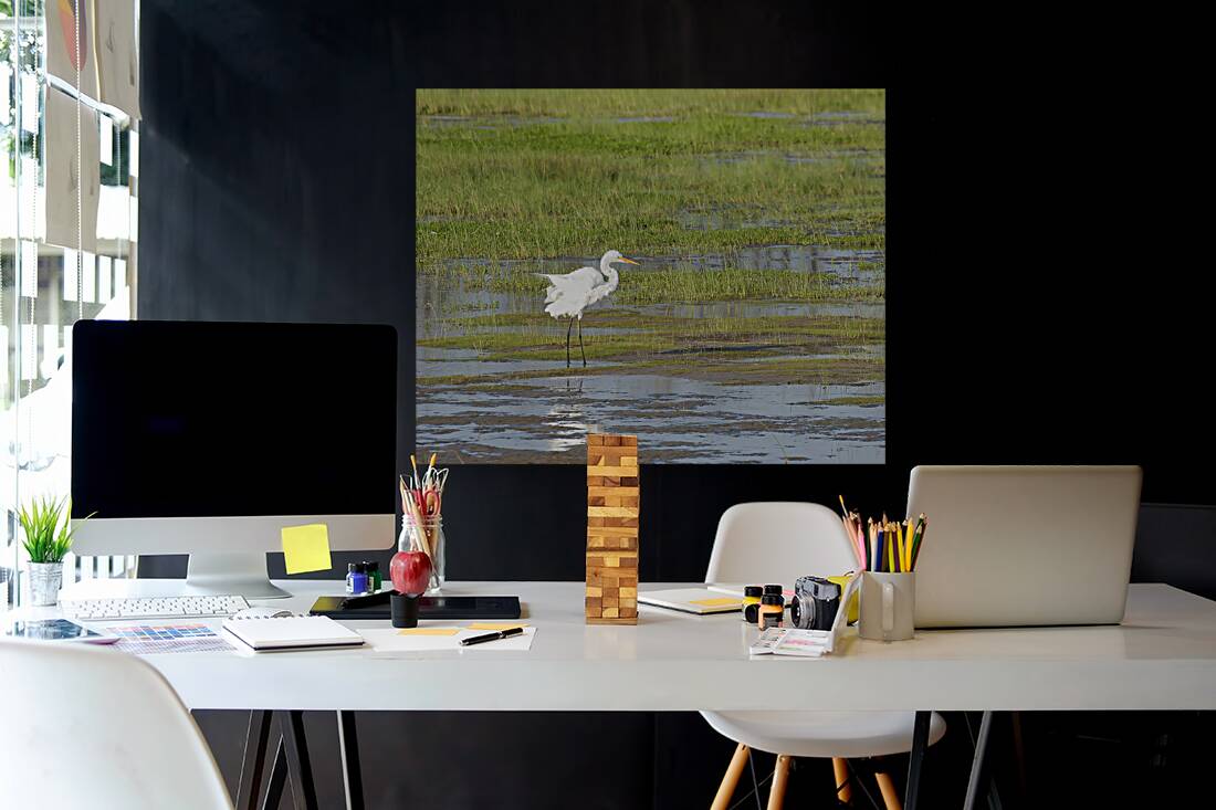 Birds 62 Reproduction