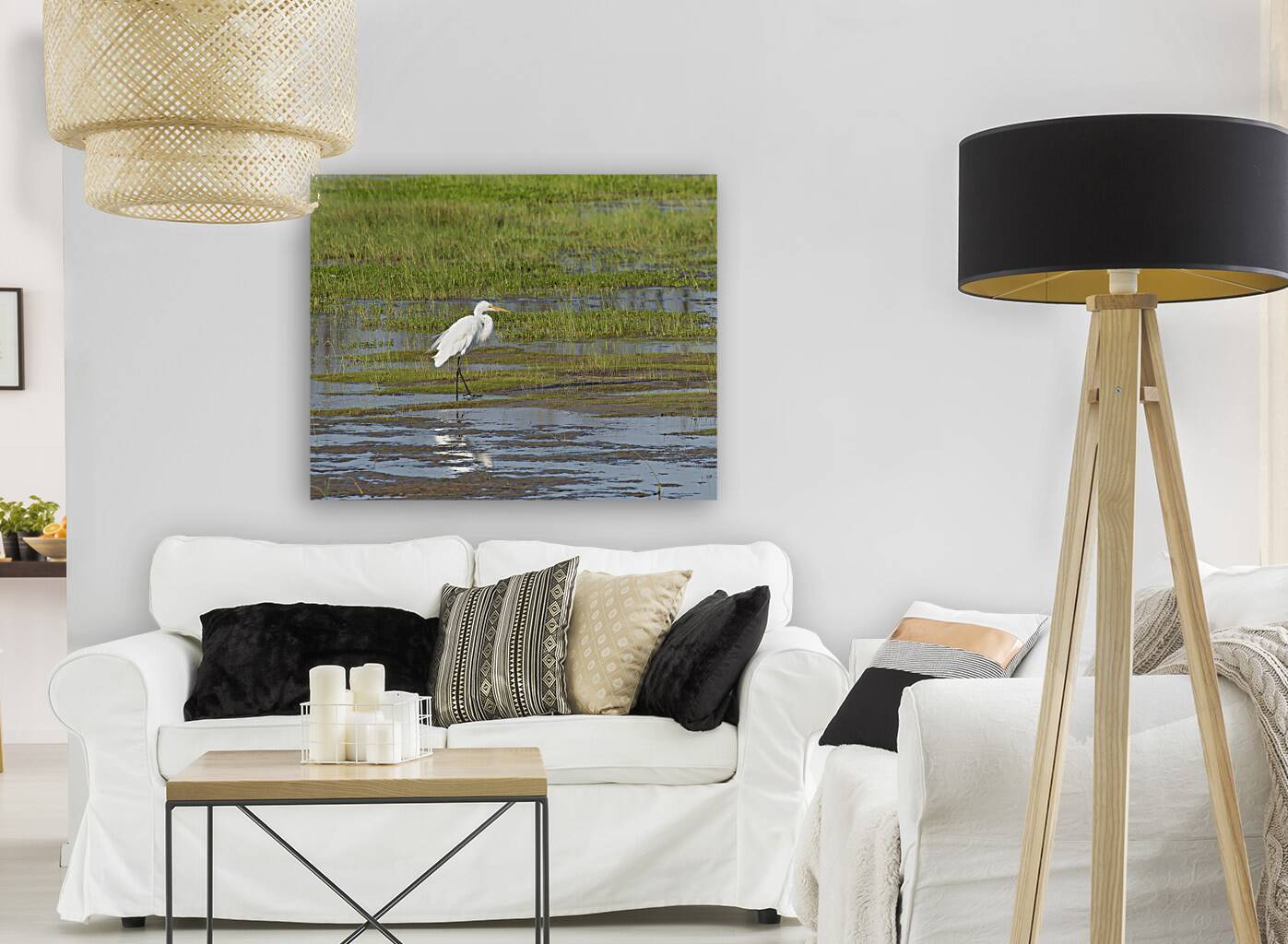 Birds 65 Reproduction
