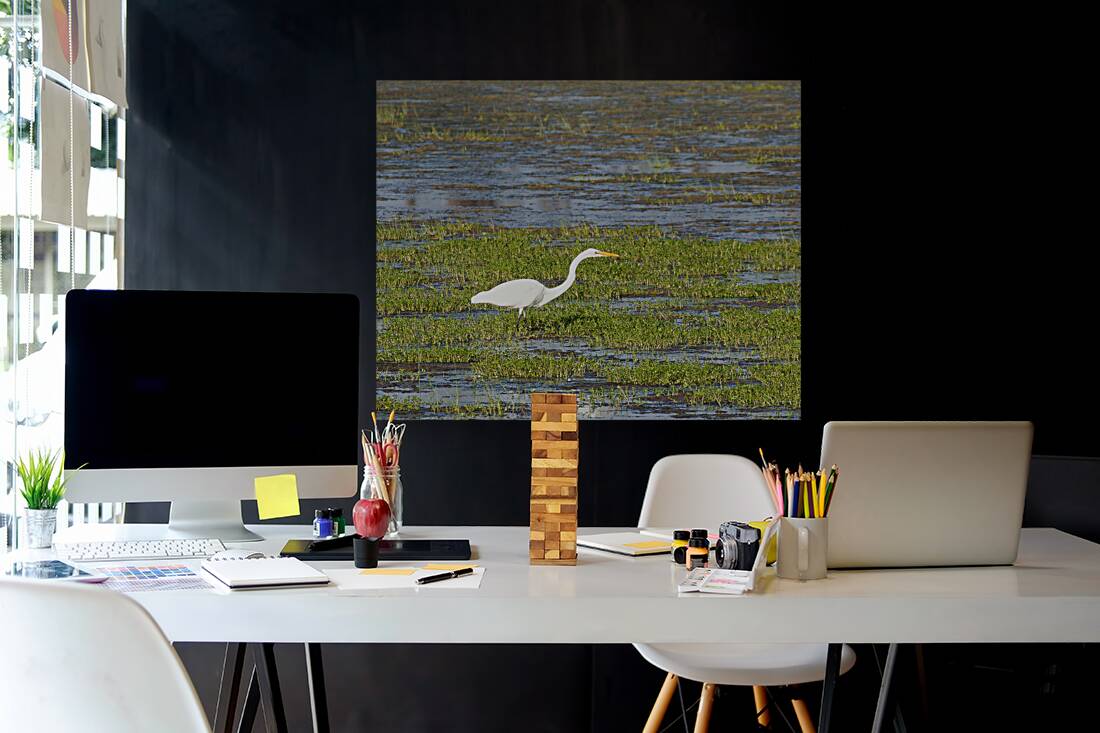 Birds 66 Reproduction