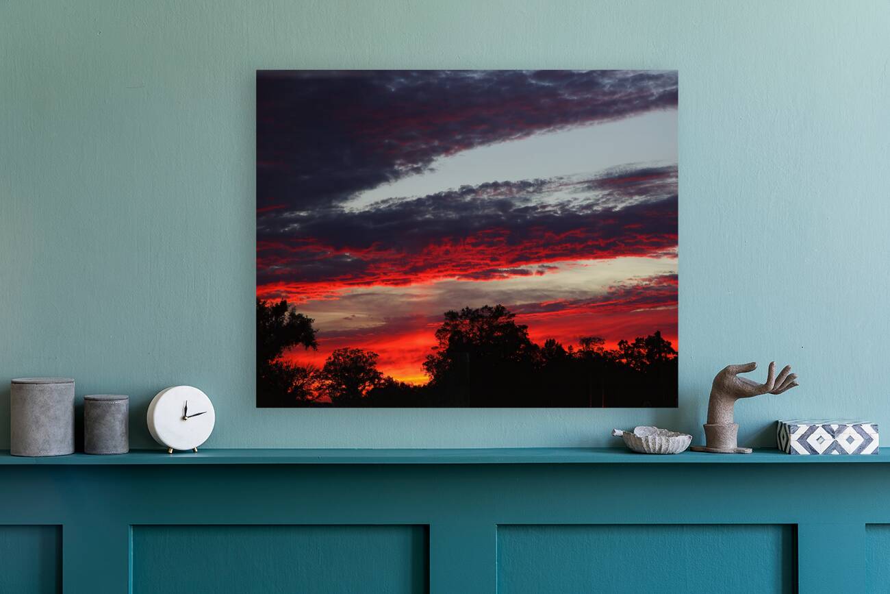SunriseSunset 51 Reproduction