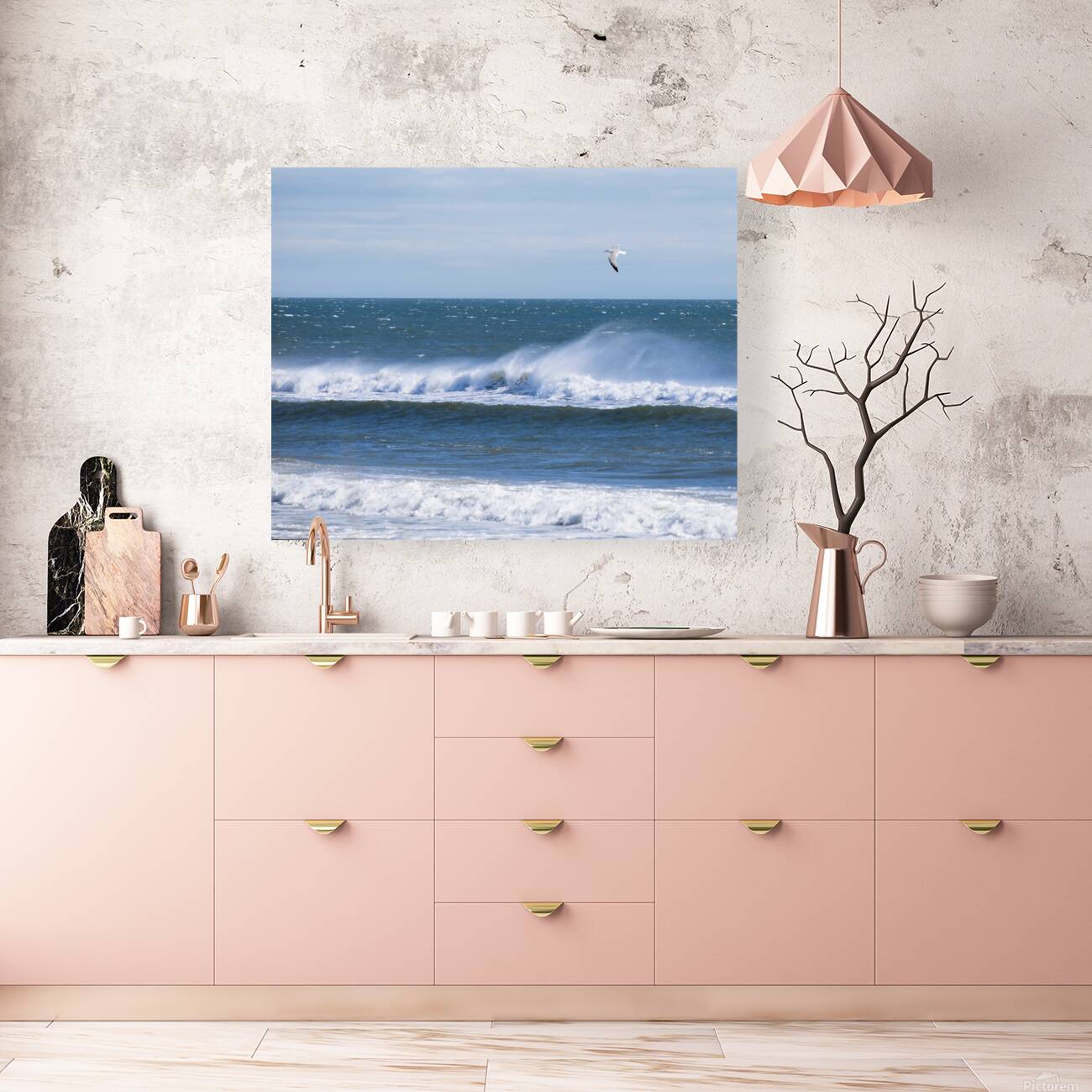 Coastal 3 Reproduction