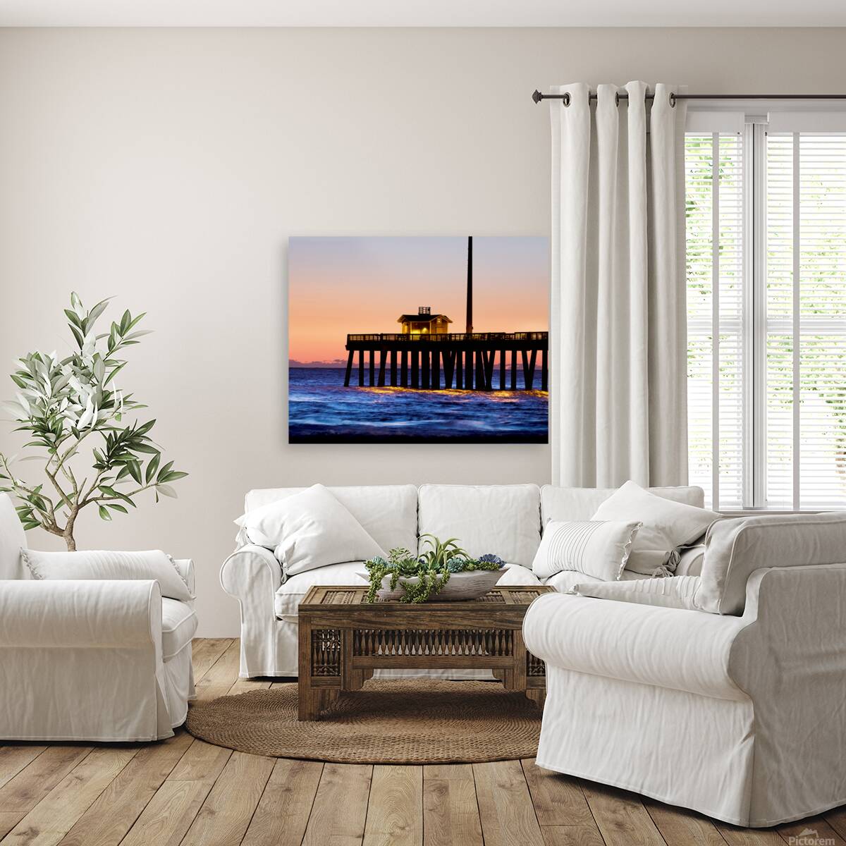 Coastal 6 Reproduction