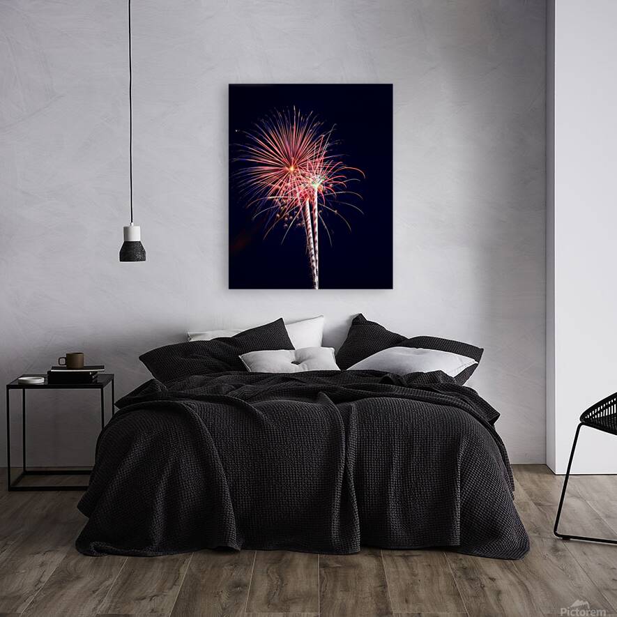 Fireworks 5 Reproduction