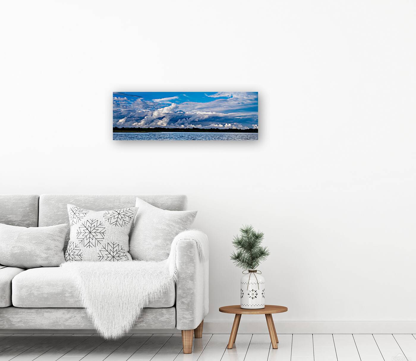 Panoramic 10 Reproduction