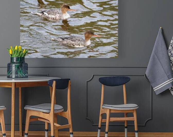 Waterfowl 16 Reproduction