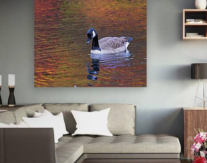 Waterfowl 27 Reproduction