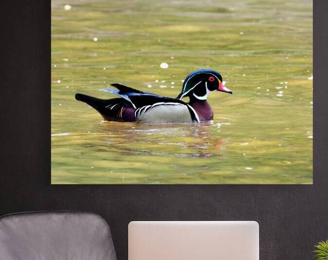 Waterfowl 88 Reproduction