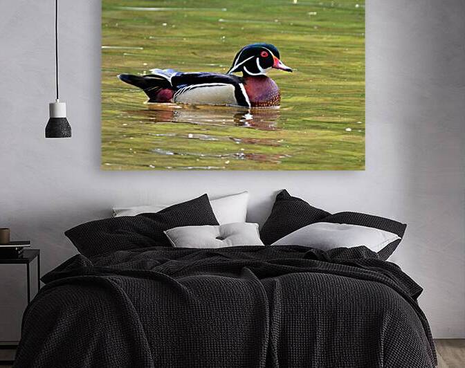Waterfowl 90 Reproduction