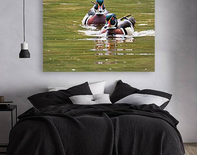 Waterfowl 97 Reproduction