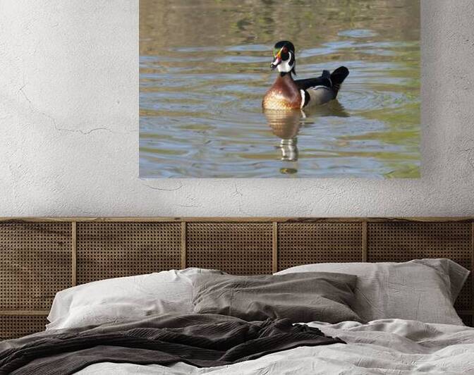 Waterfowl 110 Reproduction