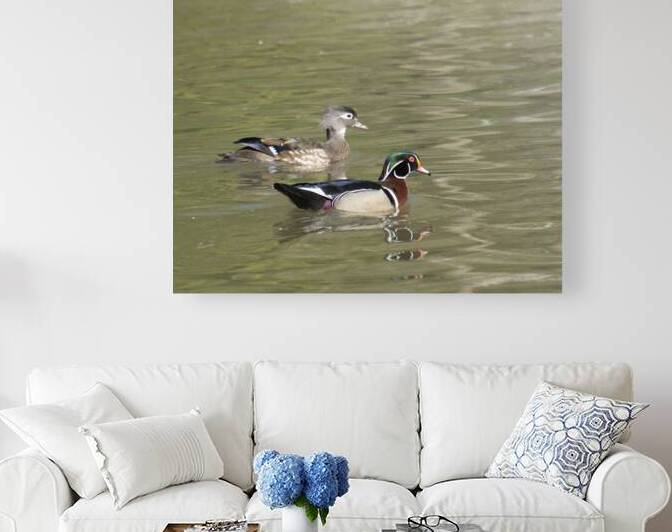Waterfowl 124 Reproduction