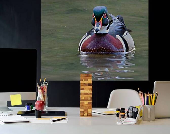 Waterfowl 148 Reproduction