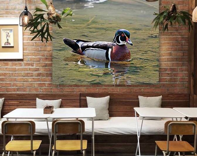 Waterfowl 155 Reproduction
