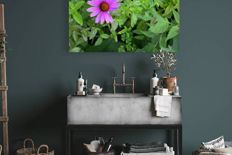 FlowersPlants 13 Reproduction