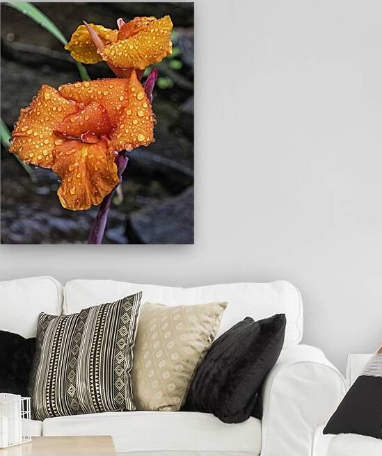 FlowersPlants 16 Reproduction
