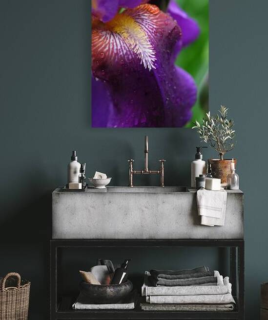 FlowersPlants 30 Reproduction