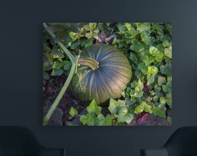 FlowersPlants 31 Reproduction