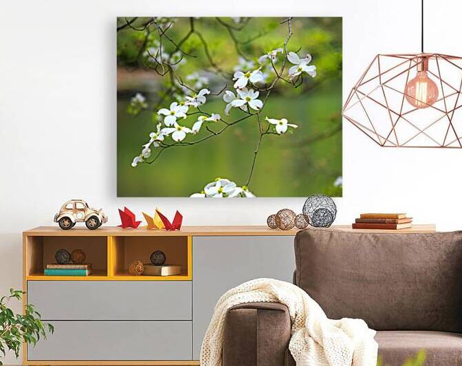 FlowersPlants 33 Reproduction