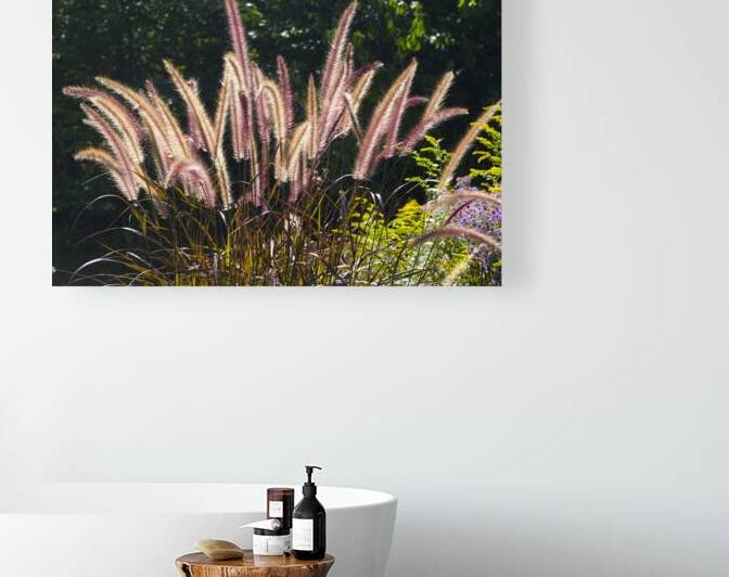 FlowersPlants 36 Reproduction