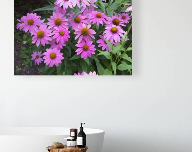 FlowersPlants 37 Reproduction