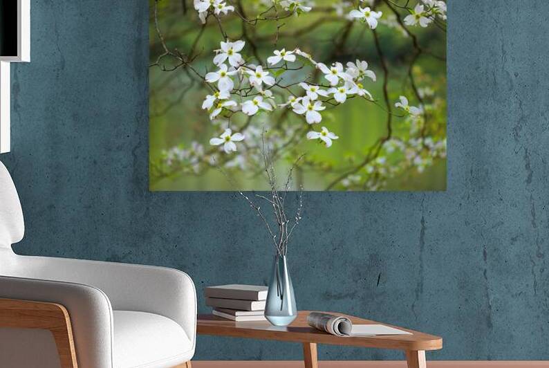 FlowersPlants 39 Reproduction