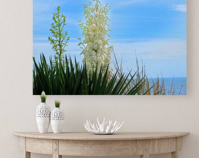 FlowersPlants 42 Reproduction